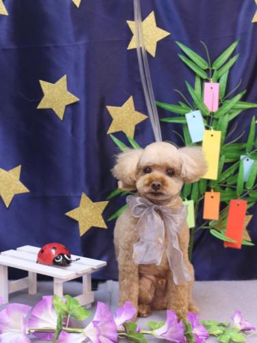 20230709そらくん